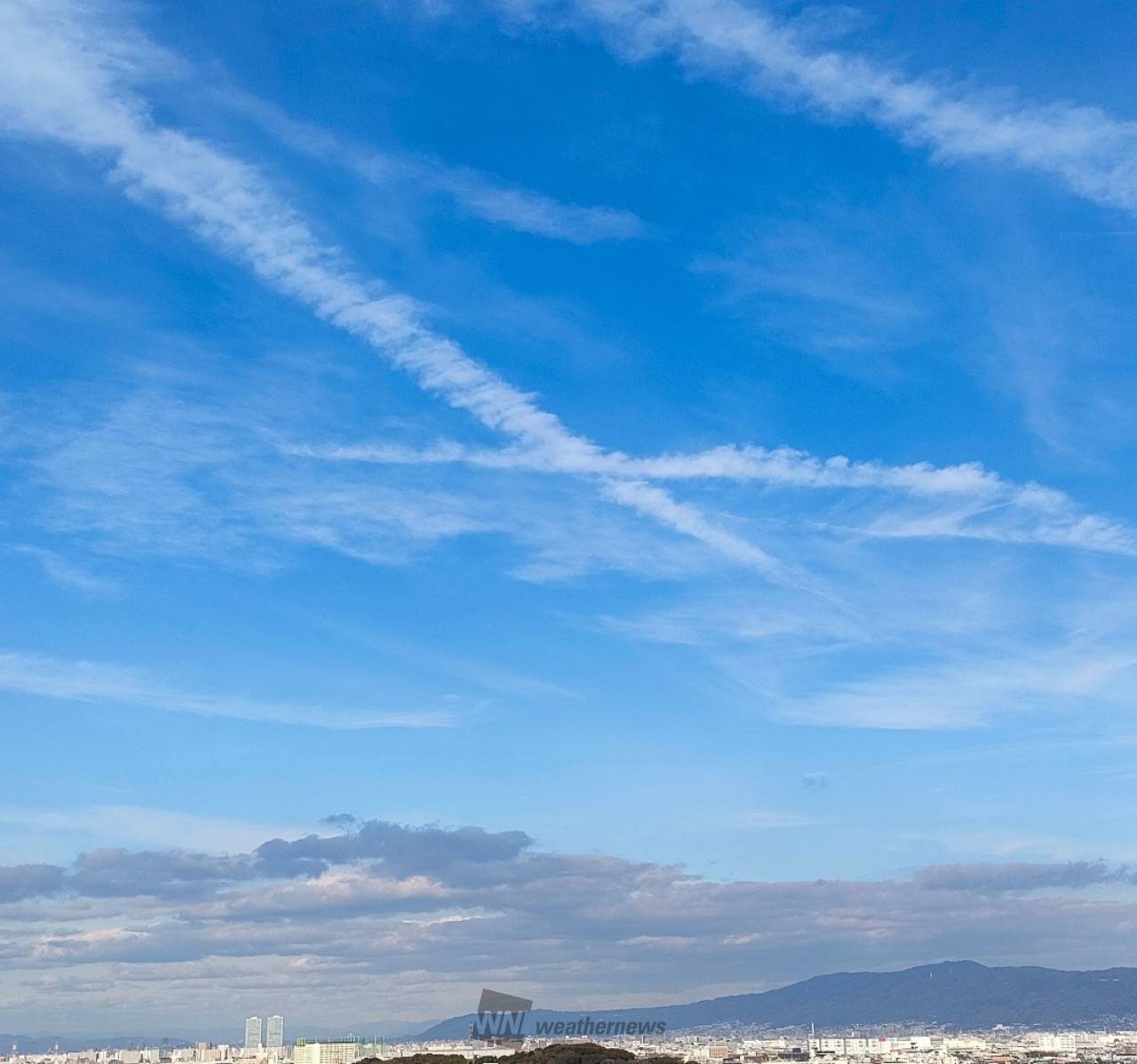 ひつじ雲Ꮚ・ェ・Ꮚ ひつじ雲便箋 A4サイズ | YAMAMOTO PAPER