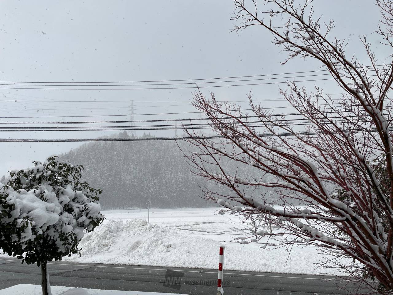 北陸の空（1/8） 注目の空の写真 ウェザーニュース