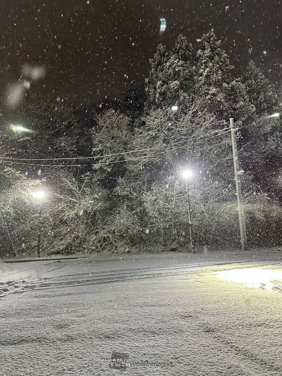 東北太平洋側でも積雪 注目の空の写真 ウェザーニュース