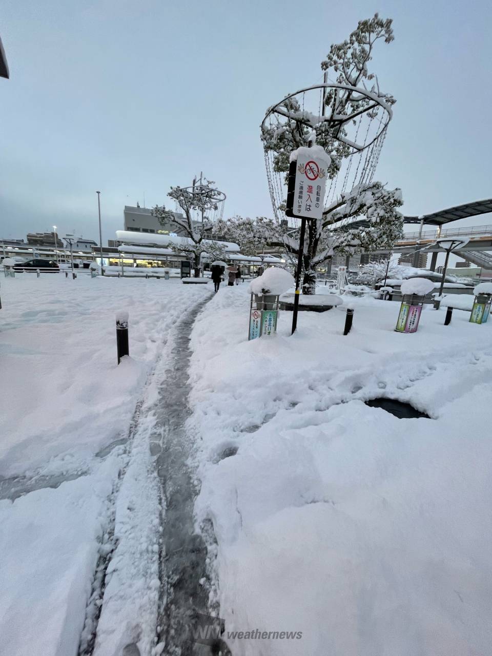 大垣市の天気急変を見抜く！雨雲レーダーと服装指数の決定版【2026】