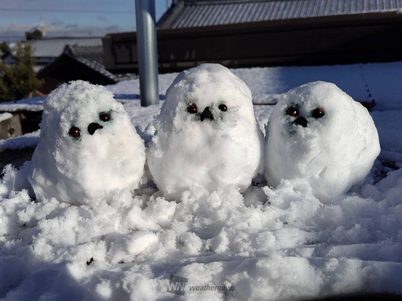 雪だるま シマエナガを作りたかったんで | 愛知県安城市 | Hiro Chaki
