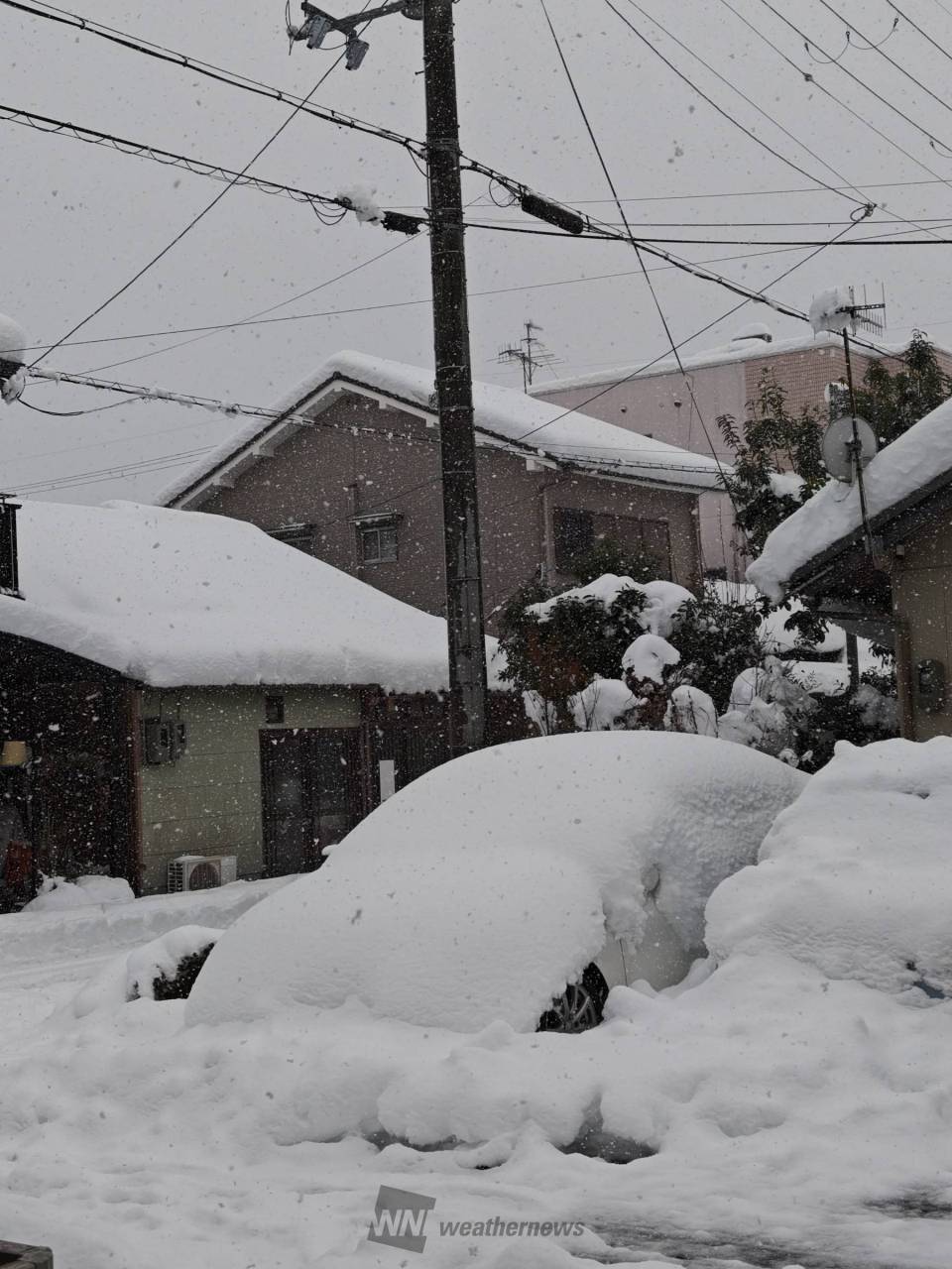 雪乃丸様 確認用 4571576722734受注生産】やはり俺の青春ラブコメはまちがっている。完