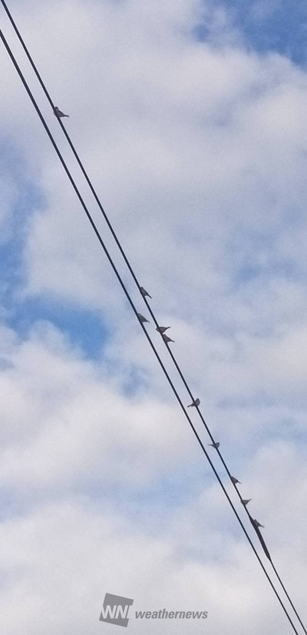 9:30 ｢冬空に...