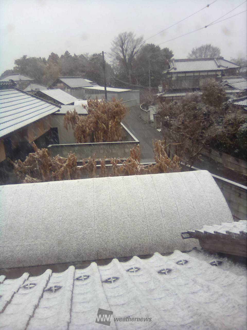 つくば みらい 市 の 天気