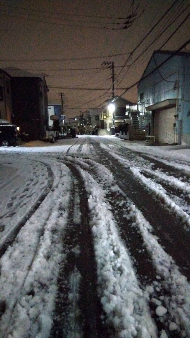 雪は止み、雨が降ったり止んだり。 所によ | 千葉県松戸市 | 上山三