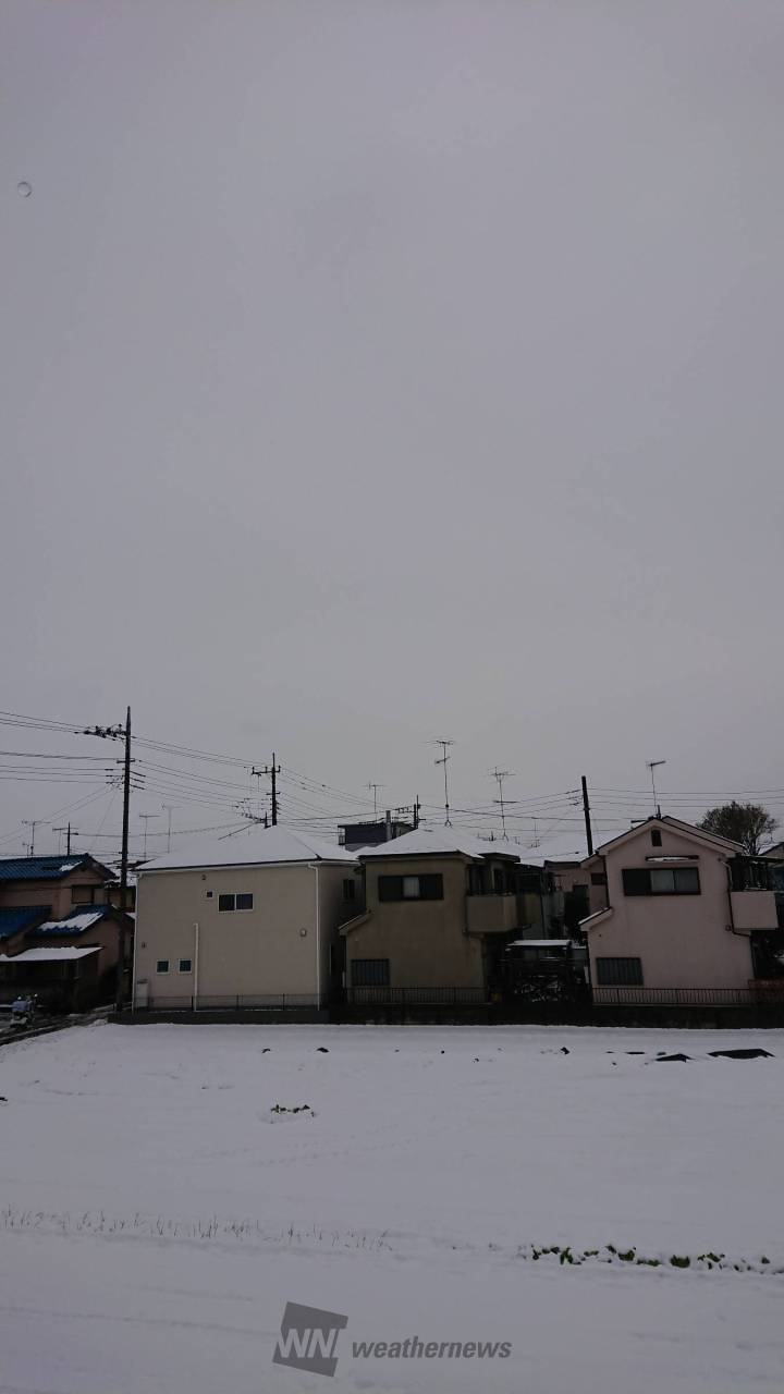 鴻巣 市 天気 予報