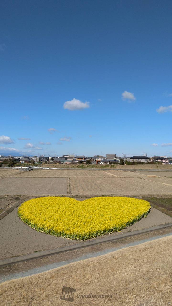津市木造町[こつくりちょう]の『ハートの | 三重県津市 | 醸造所所蔵