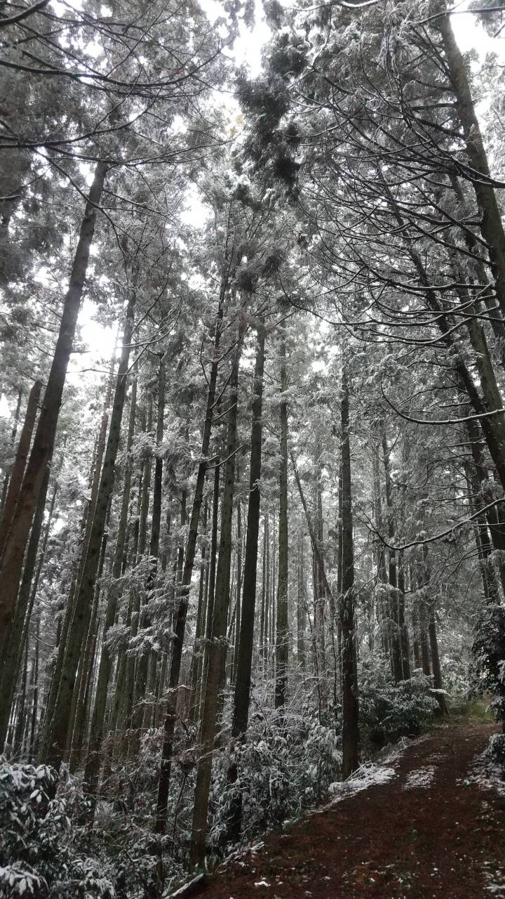 茨城など関東北部で雪化粧 注目の空の写真 ウェザーニュース