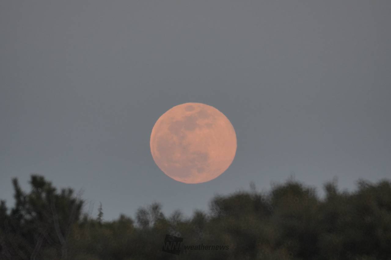 満月・スノームーン 注目の空の写真 ウェザーニュース