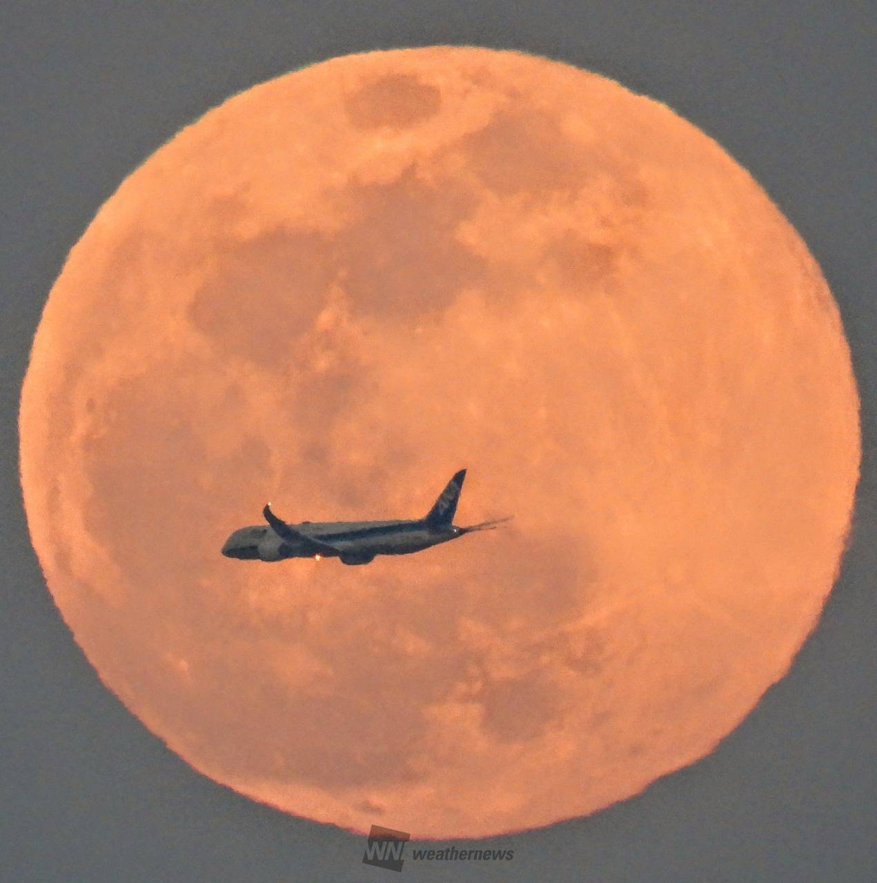 満月・スノームーン 注目の空の写真 ウェザーニュース