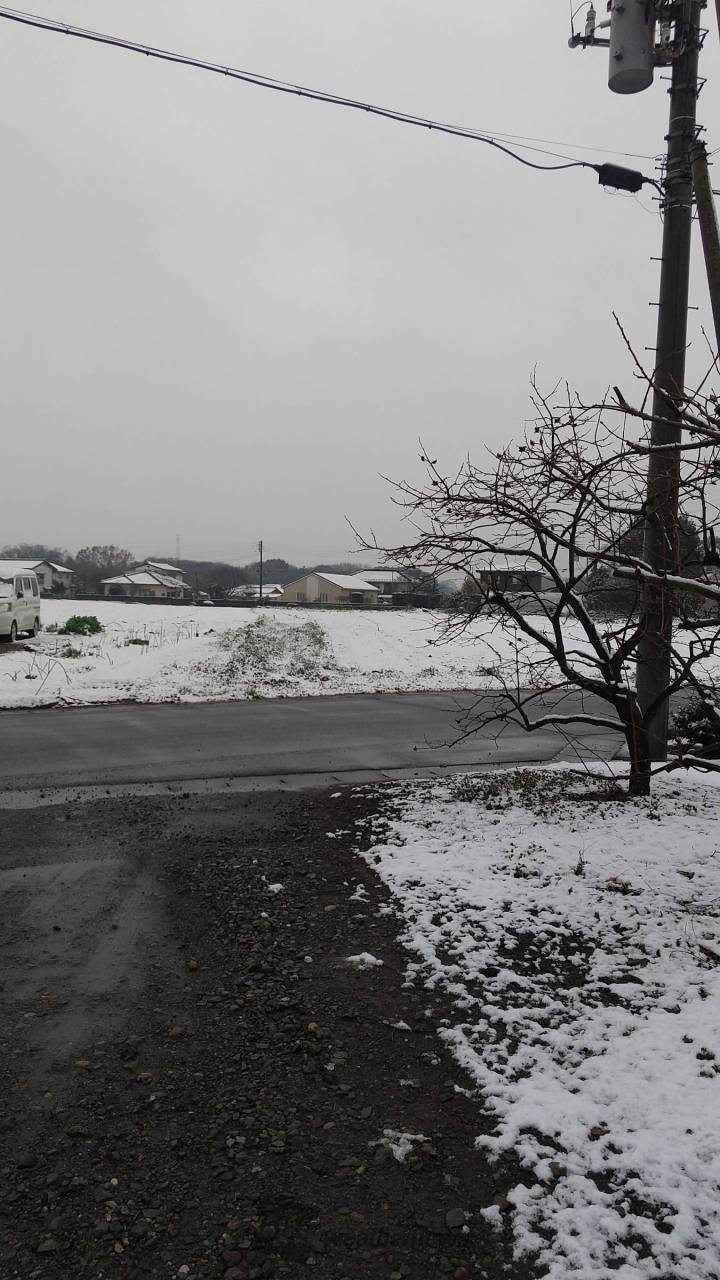 茨城 県 坂東 市 天気