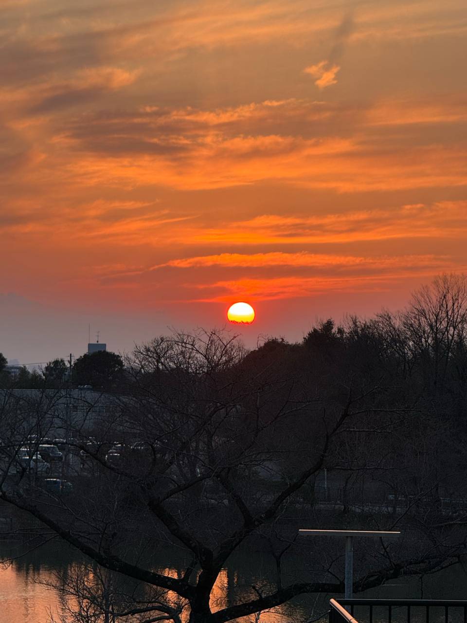 【夕焼けこやけページ】先染めチェックジャケット　オレンジ オレンジ夕焼けタイム 注目の空の写真 ウェザーニュース
