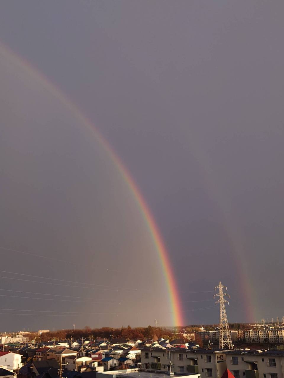 関東で虹ラッシュ ダブルレインボーも 注目の空の写真 ウェザーニュース