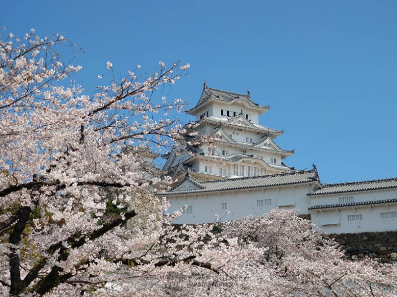 キャスターの皆さま...