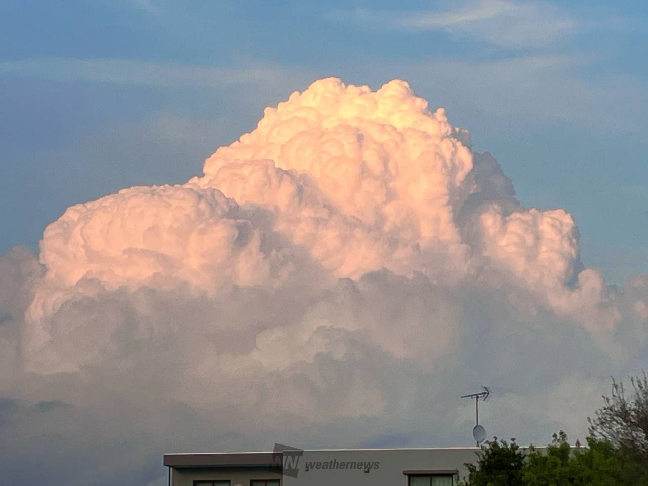 夏のようなモクモク雲 注目の空の写真 ウェザーニュース