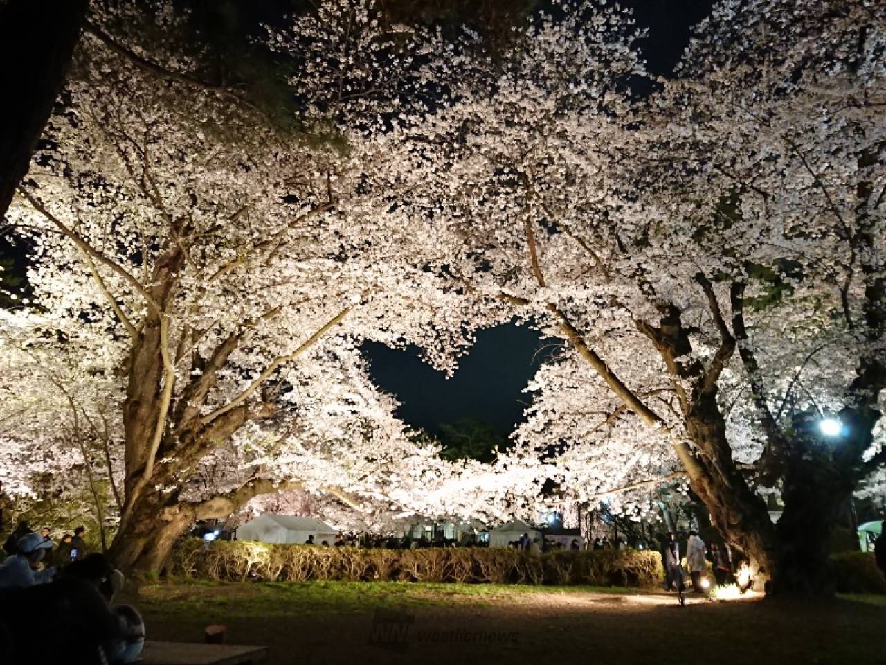 桜のハート園内...