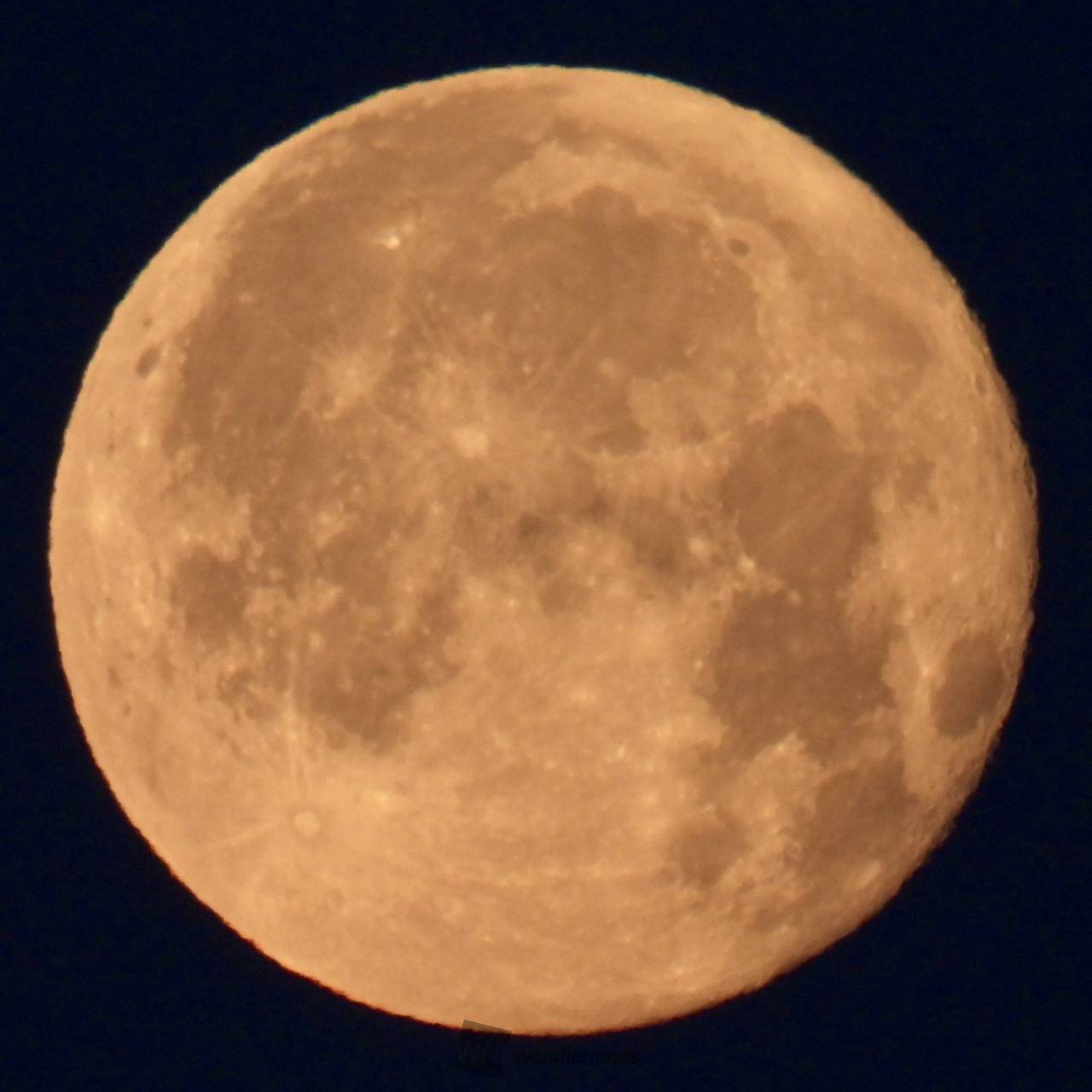 のれん　満月 imgrc0092588942.jpg