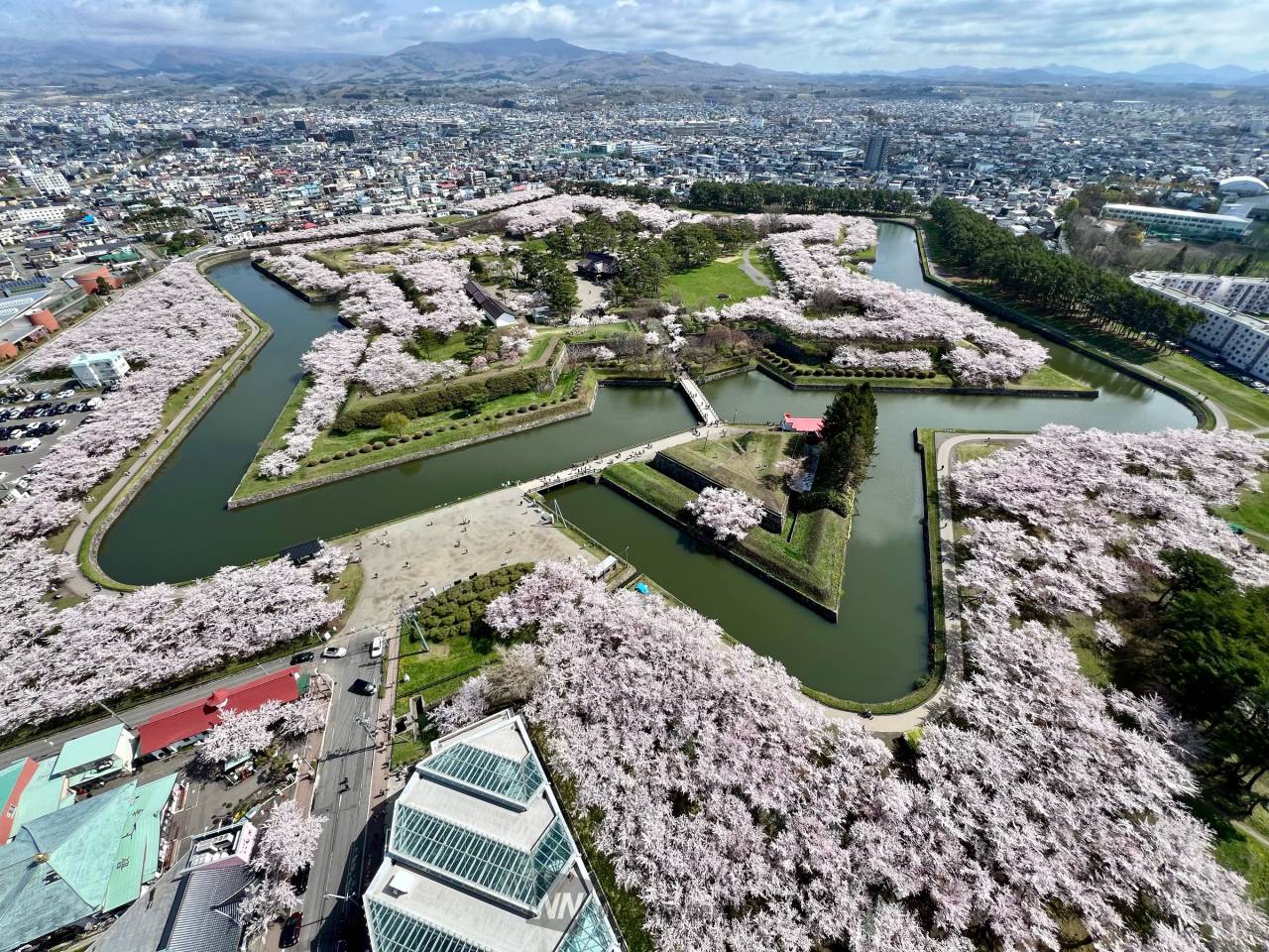 今日の函館は晴れ、...