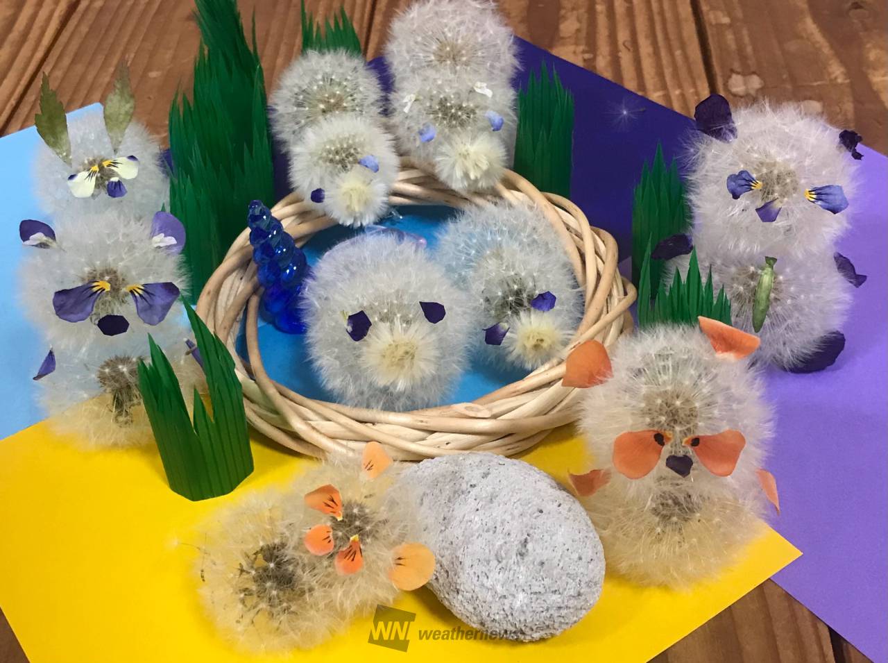 タンポポの綿毛でアート 注目の空の写真 ウェザーニュース