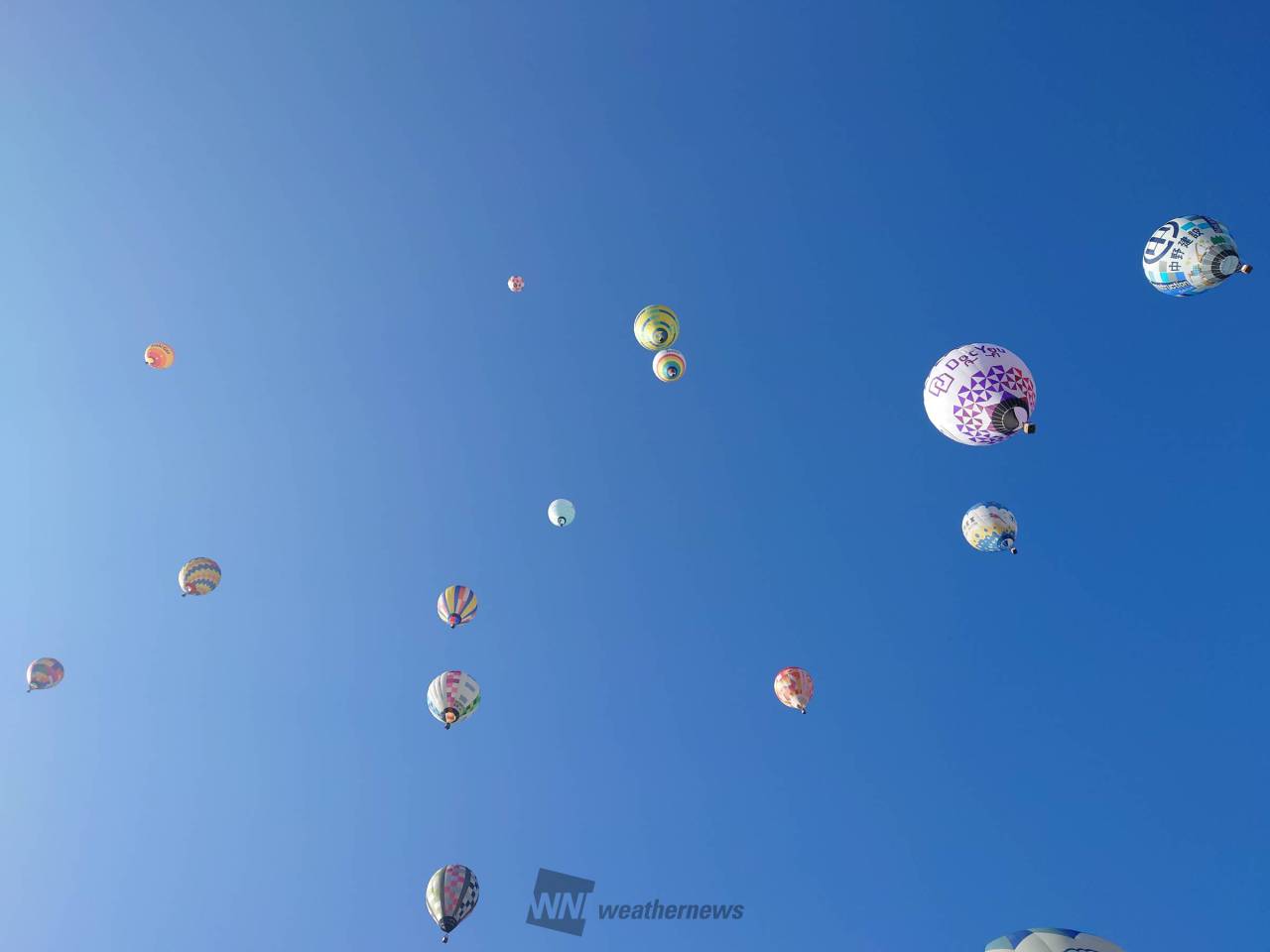 青空に飛び立つ 注目の空の写真 ウェザーニュース