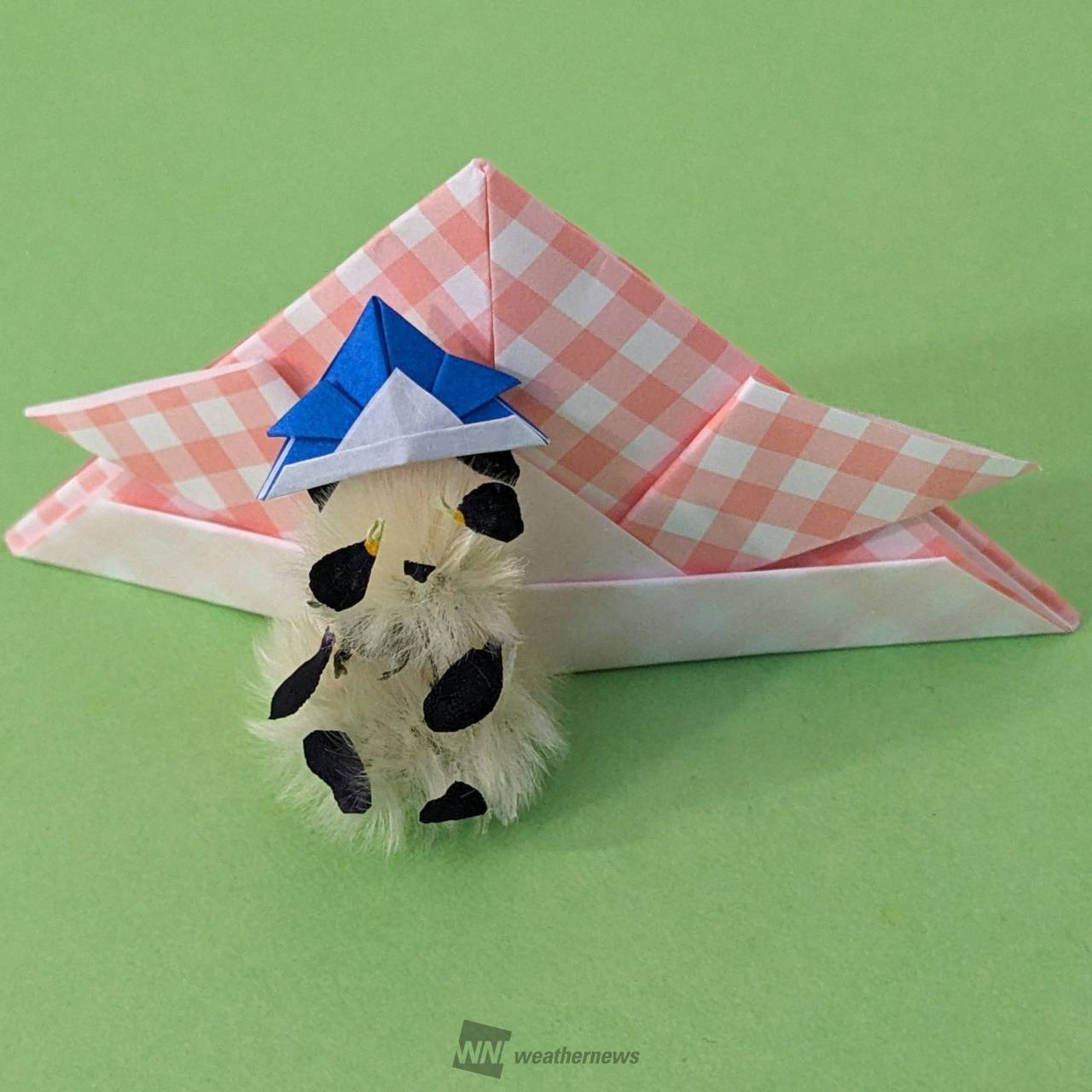 タンポポの綿毛でアート 注目の空の写真 ウェザーニュース