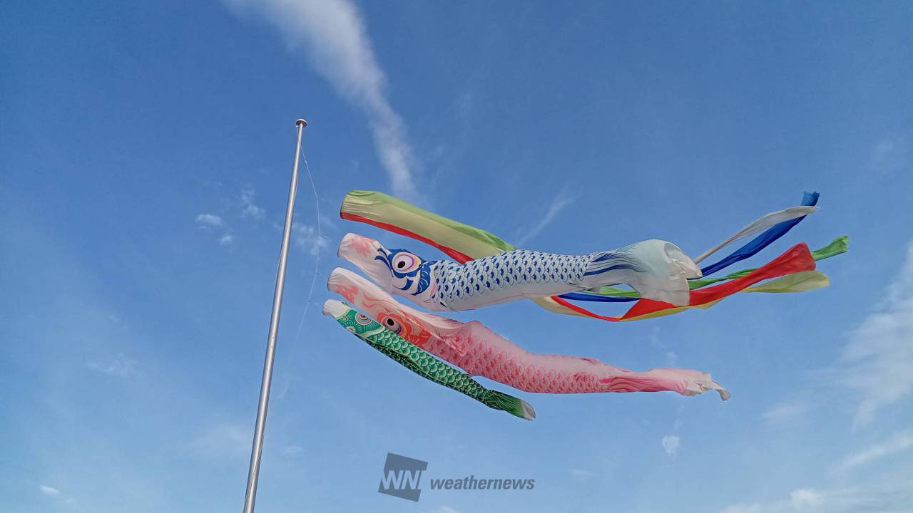 大空を泳ぐこいのぼり🎏 注目の空の写真 ウェザーニュース