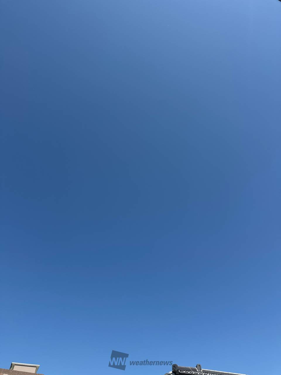 青い空様　⑤⑥各10本 71bAj0lvoWL.jpg