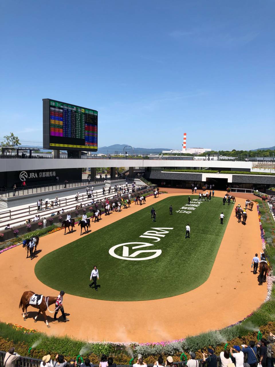 天気 予報 京都 競馬 場