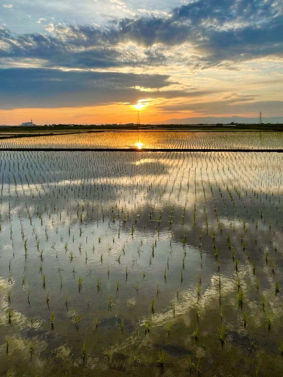 水田に映る景色 注目の空の写真 ウェザーニュース
