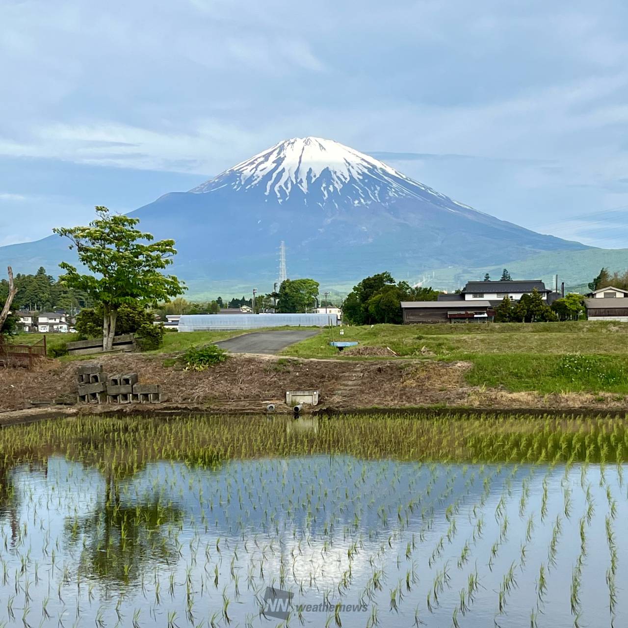 水田に映る景色 注目の空の写真 ウェザーニュース