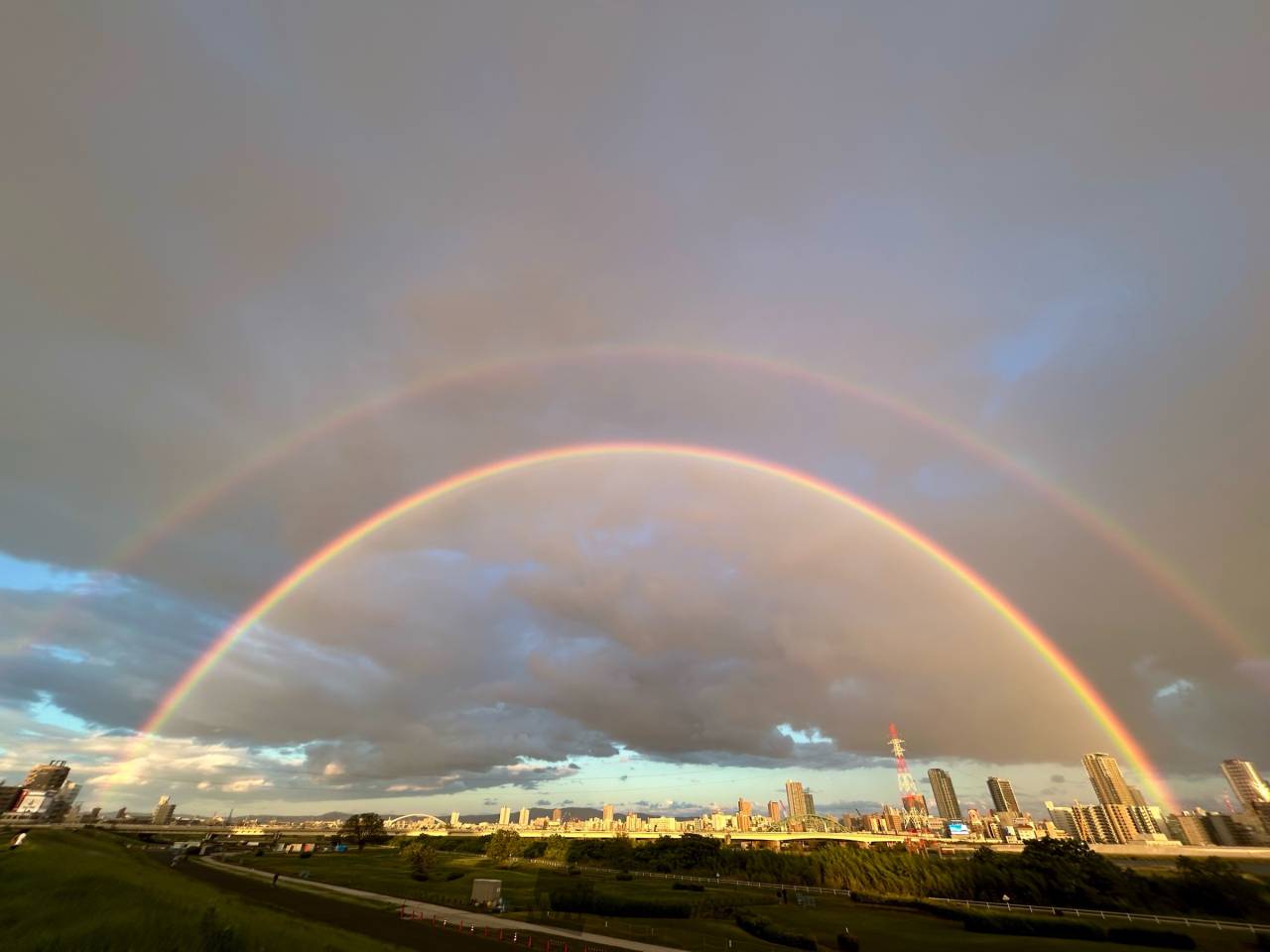 かごの中の太陽　ダブルレインボウ　1枚 かごの中の太陽 ダブルレインボウ 1枚 関東で虹が出現 ダブル
