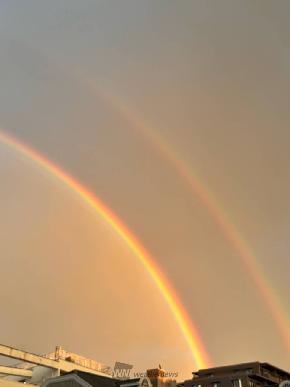 濃いダブルレインボー 注目の空の写真 ウェザーニュース