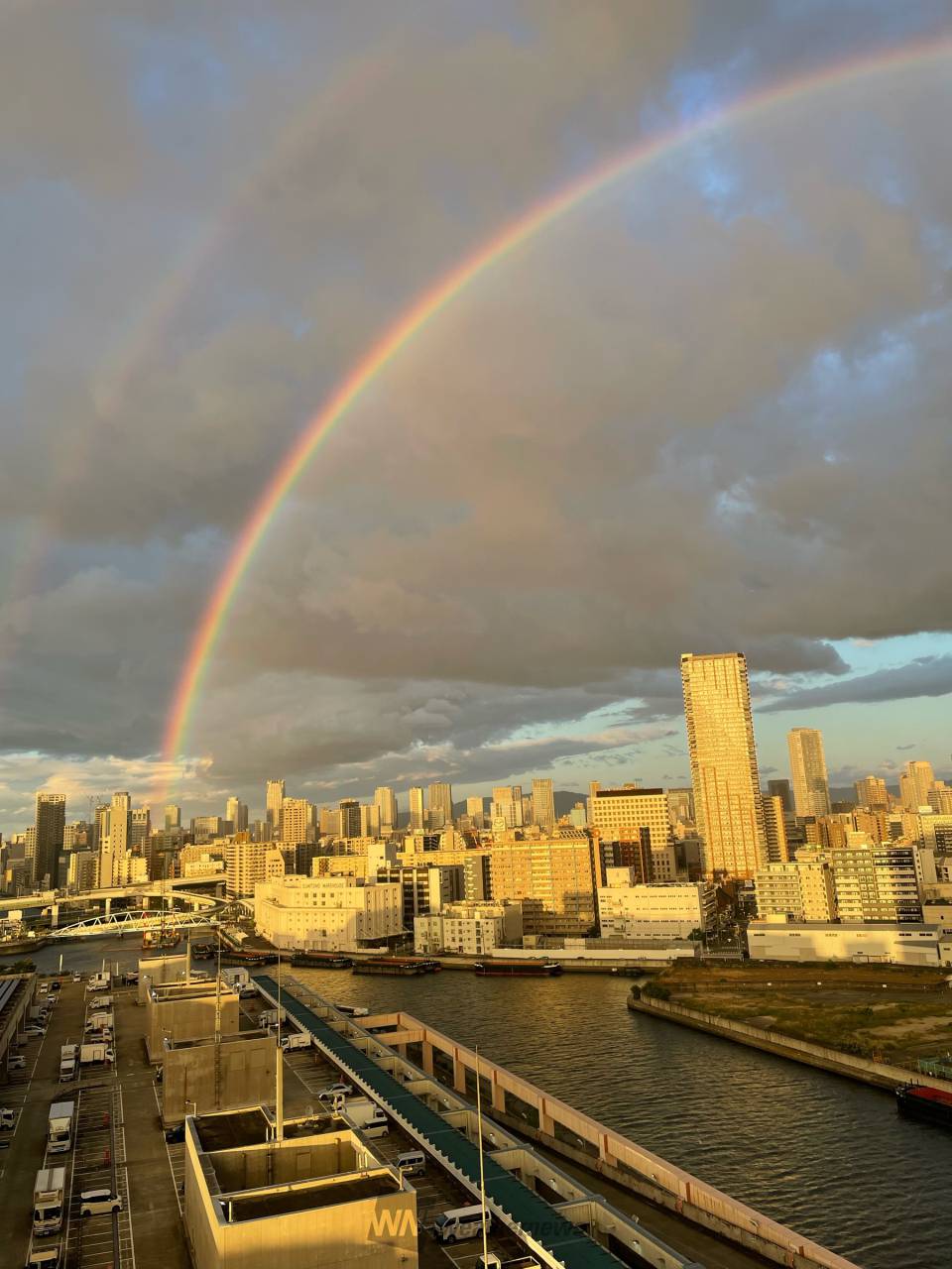 濃いダブルレインボー 注目の空の写真 ウェザーニュース