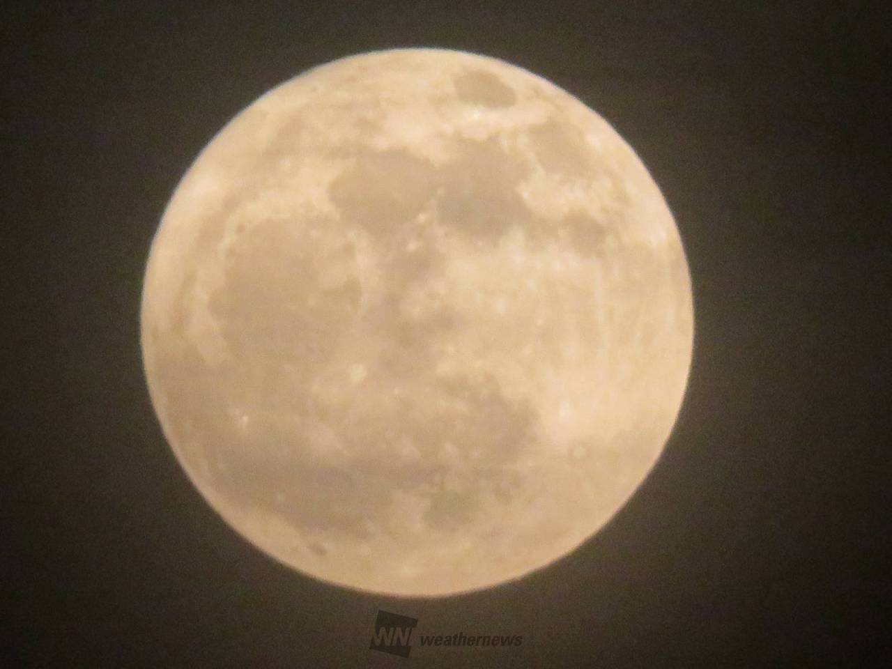 昨夜は満月 注目の空の写真 ウェザーニュース