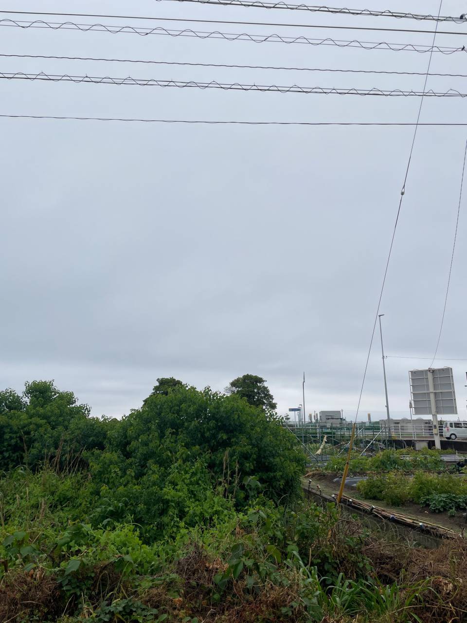 西から徐々に雨雲接...
