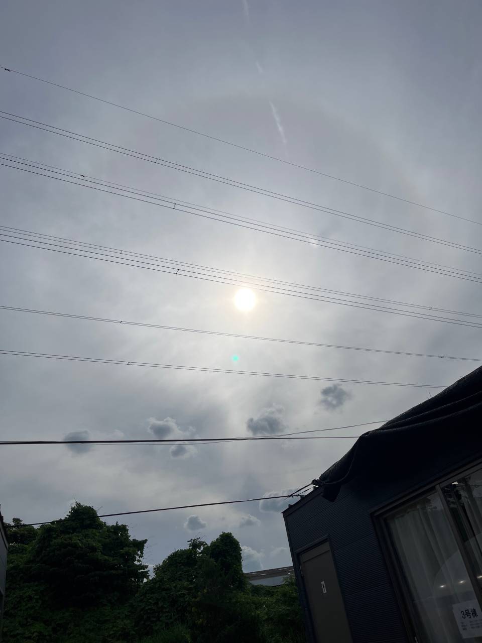 柏 市 の 今日 の 天気