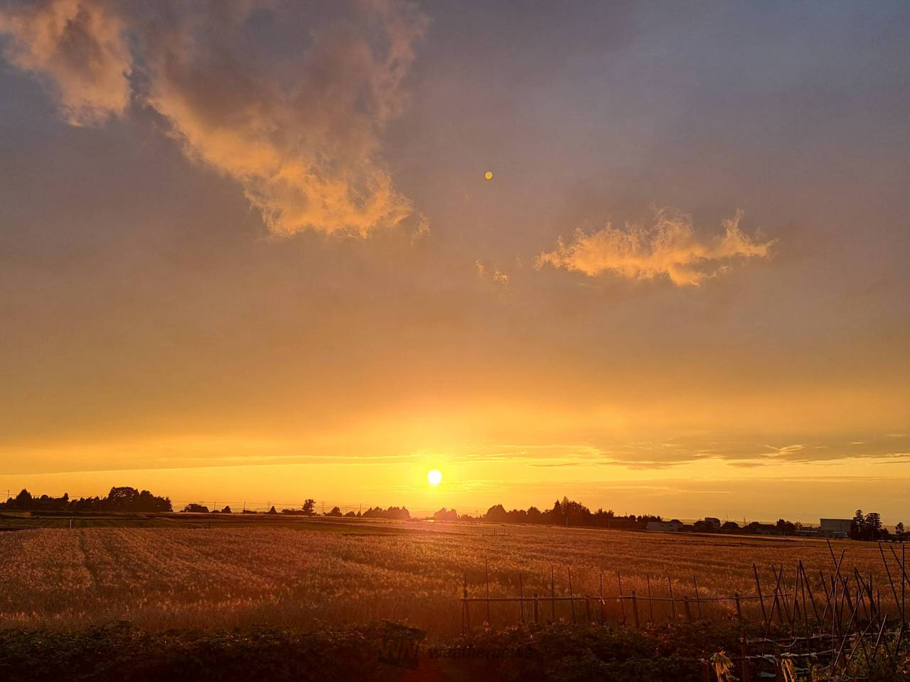 5月最後の夕日・夕焼け 注目の空の写真 ウェザーニュース