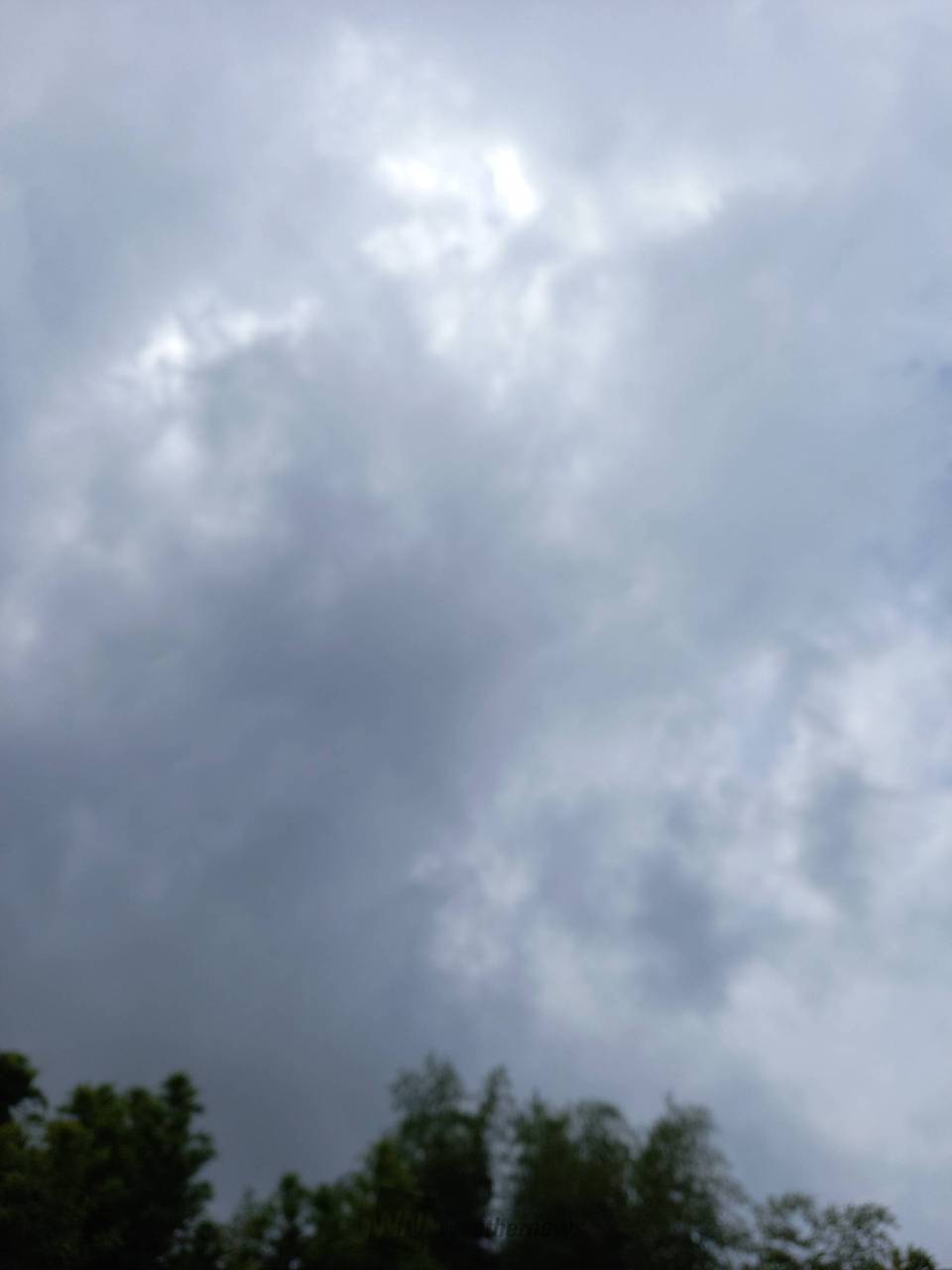 曇り空☁️時々日差...