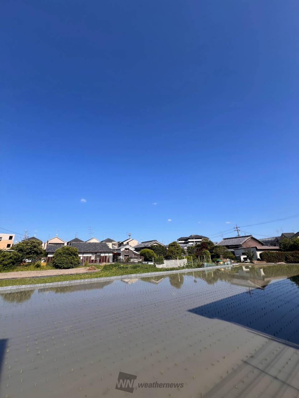 スッキリ青空♪ 注目の空の写真 ウェザーニュース