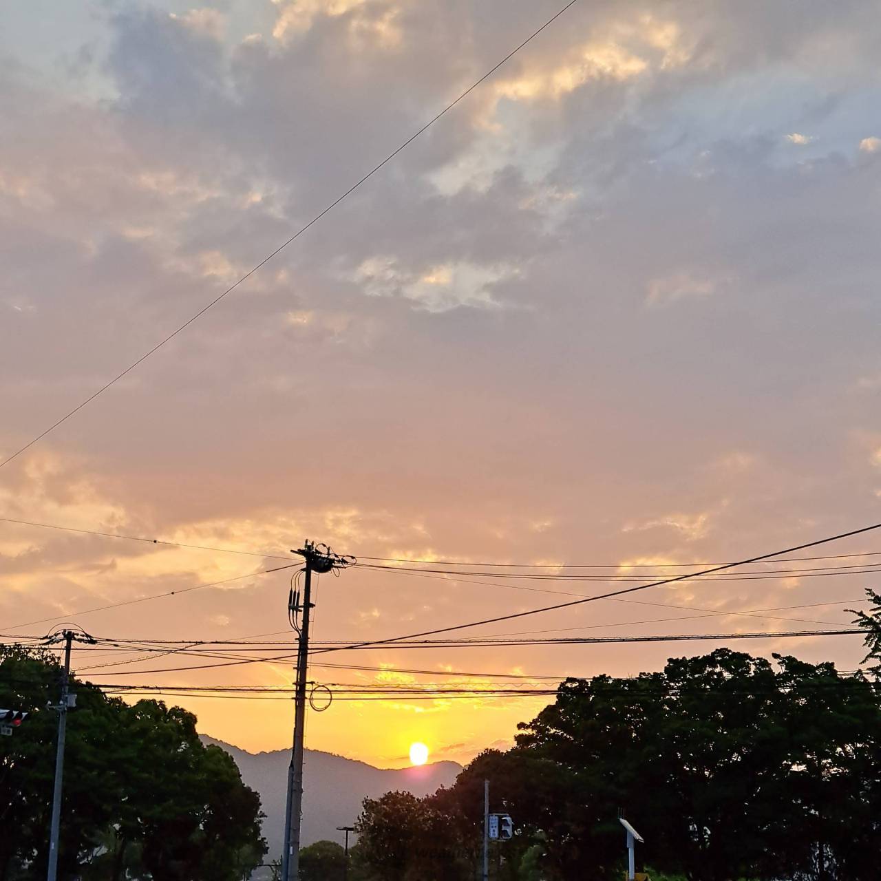 今日の朝日・朝焼け🌅 注目の空の写真 ウェザーニュース