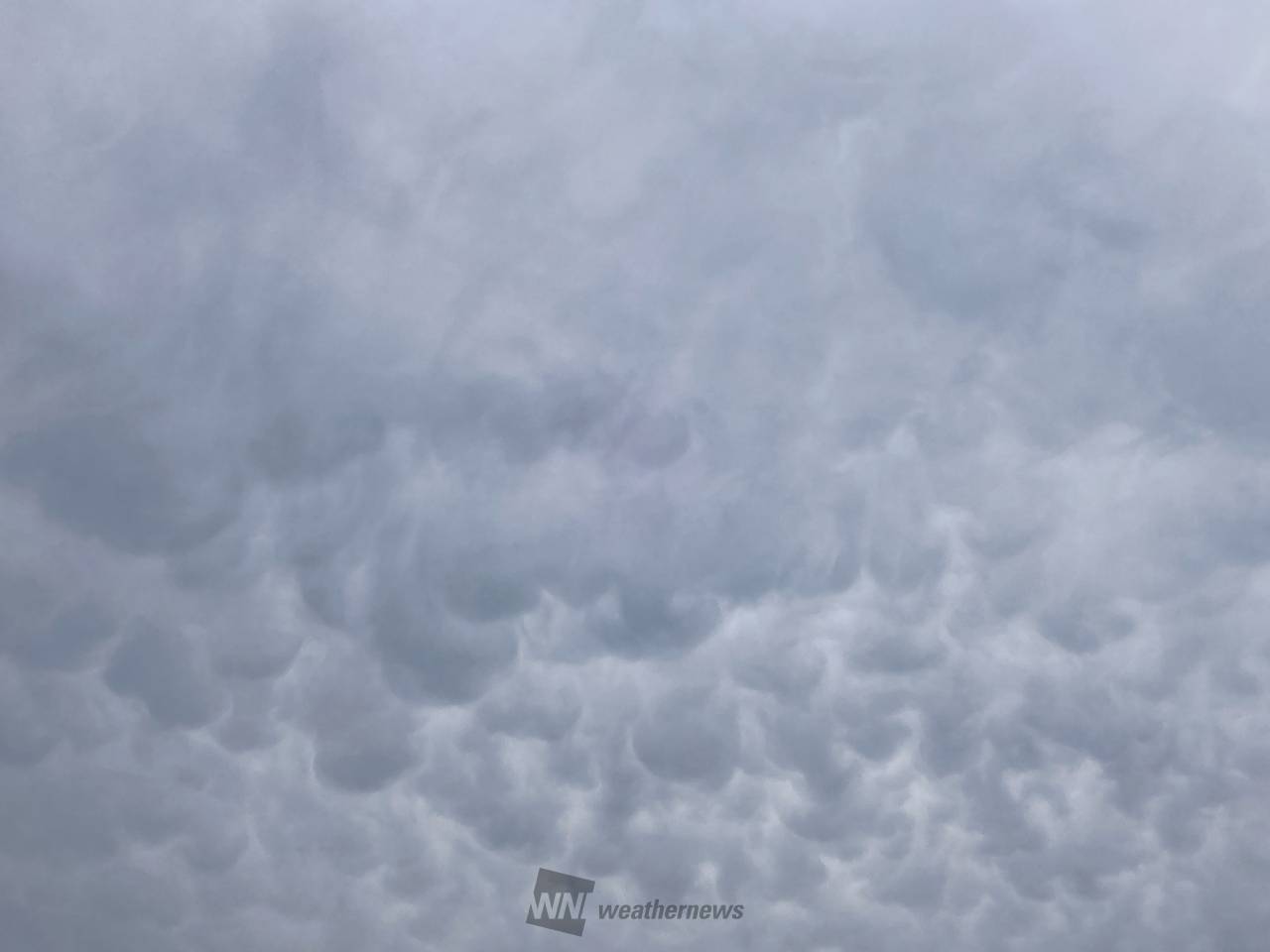 雲の顔 85176979.jpg