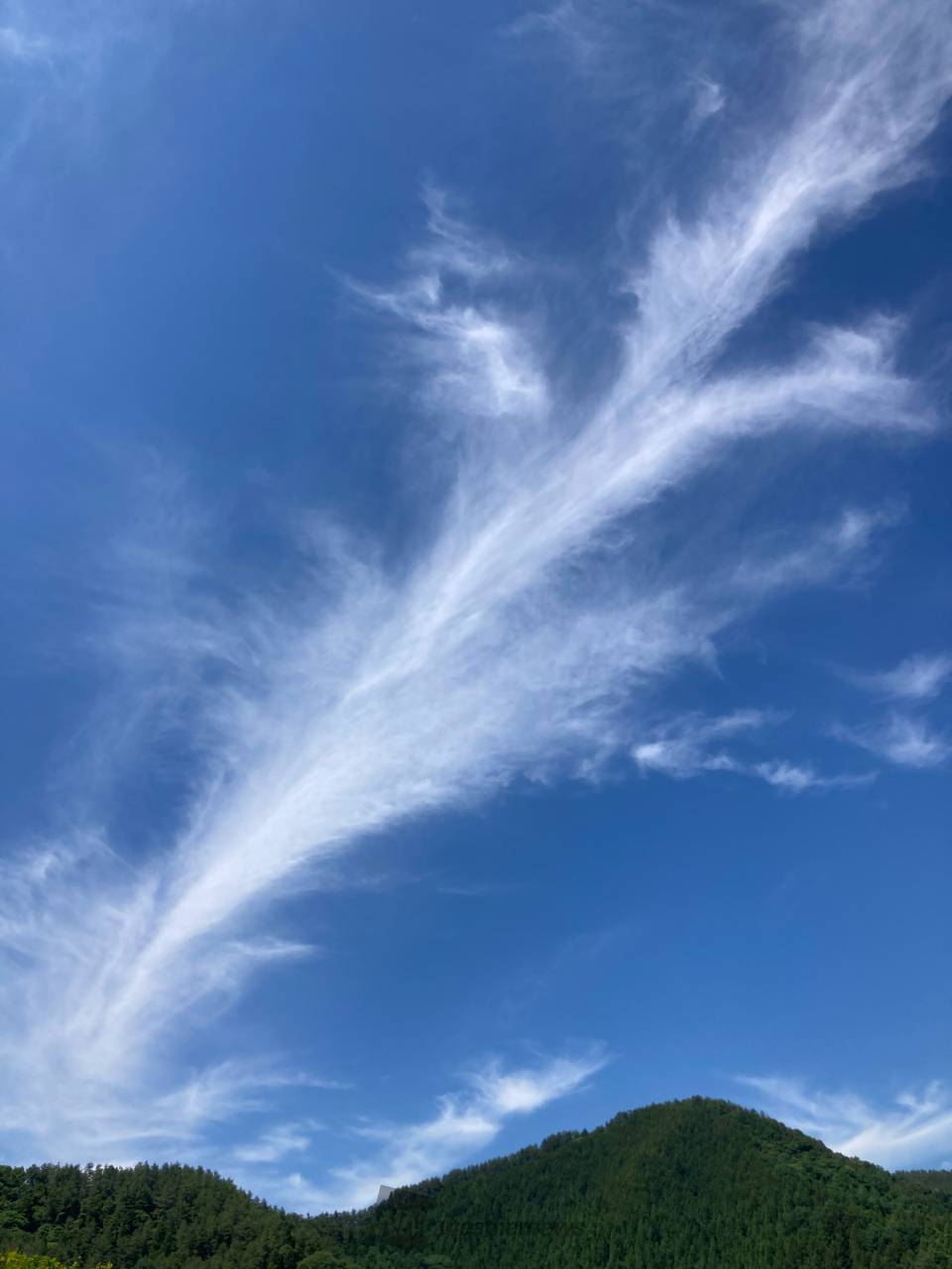 初夏の雲画廊 注目の空の写真 ウェザーニュース