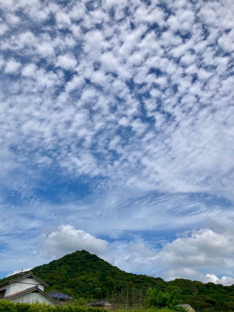 初夏の雲画廊 注目の空の写真 ウェザーニュース