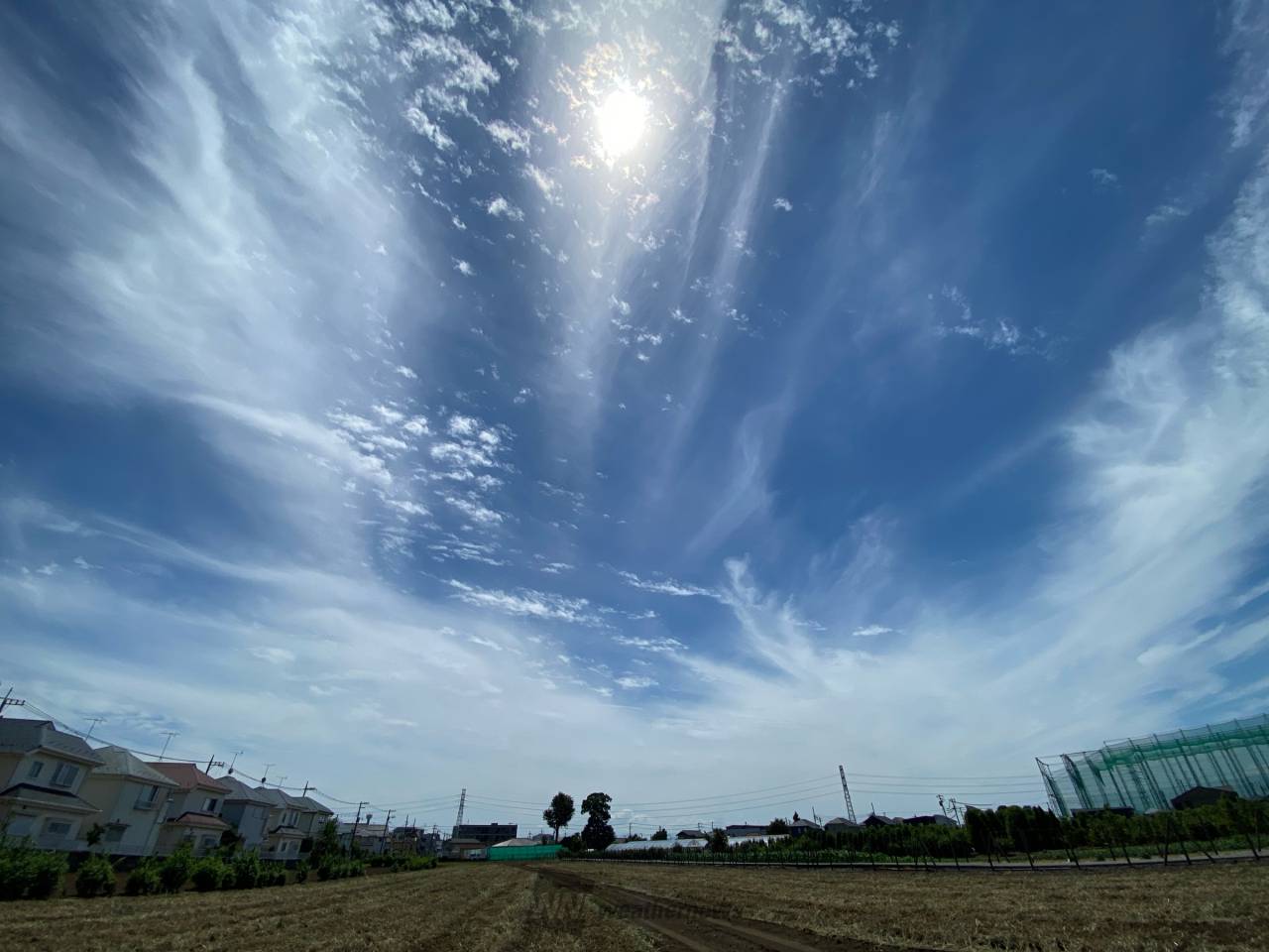 初夏の雲画廊 注目の空の写真 ウェザーニュース