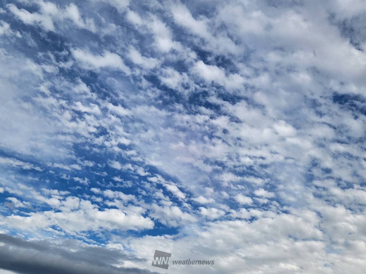 初夏の雲画廊 注目の空の写真 ウェザーニュース