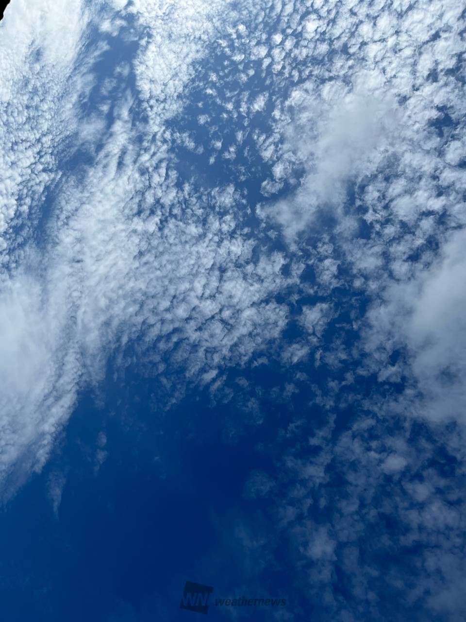初夏の雲画廊 注目の空の写真 ウェザーニュース