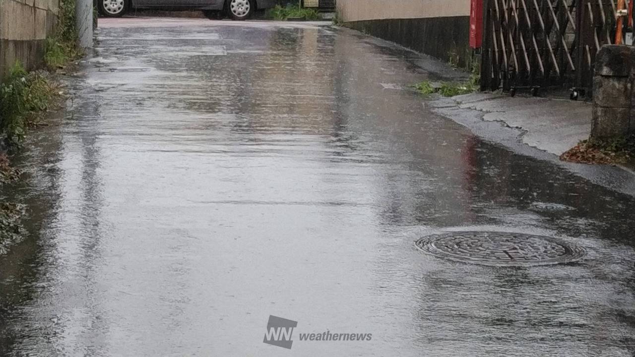 雨は「サー」レベルで降り続いています。 | 神奈川県藤沢市 | -晴れ