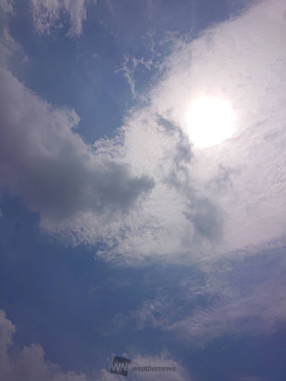 今日 の 千葉 の 天気