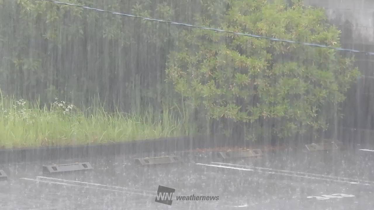 関東など太平洋側で激しい雨 注目の空の写真 ウェザーニュース