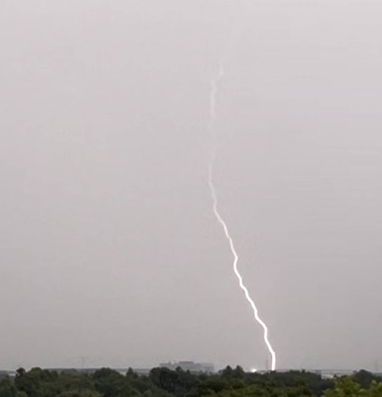 雷雨さま専用ページ ポン太さま専用 □ライブディオ□ZX□カスタム多数□コーティング済み□